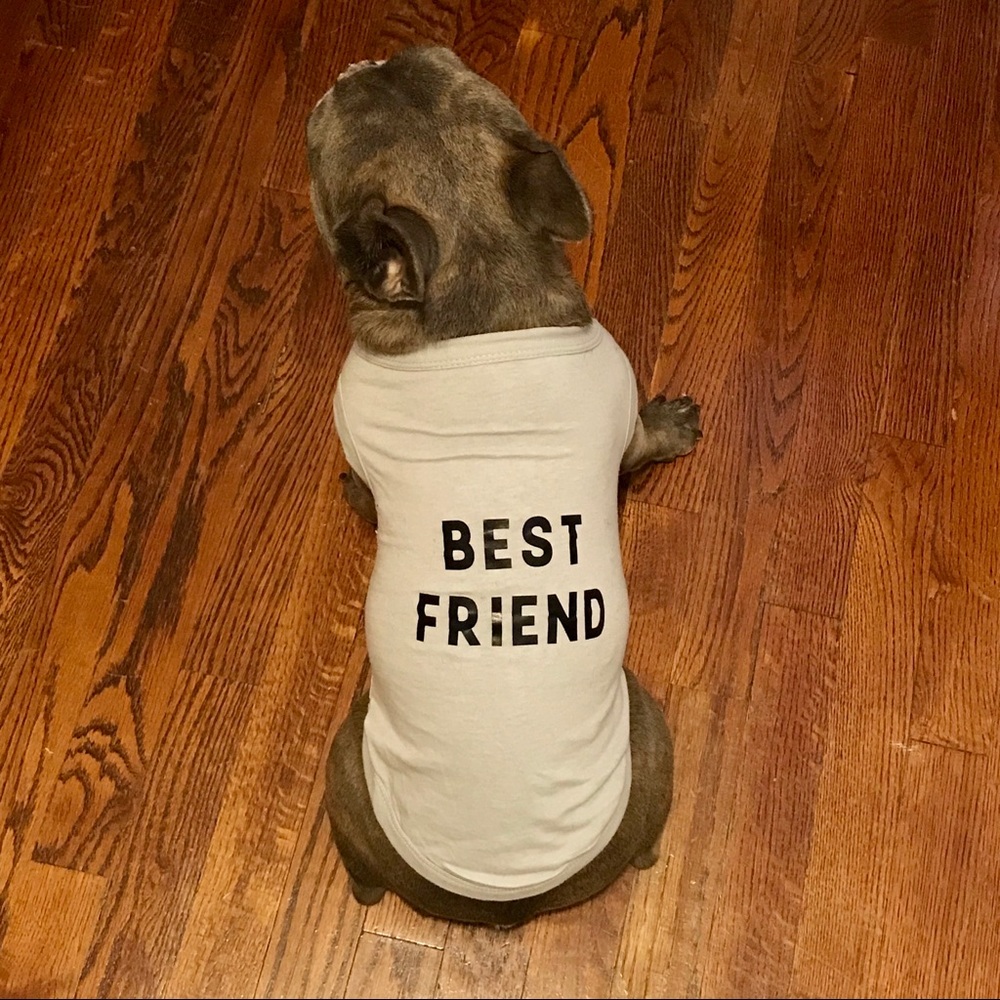 Matching Human & Dog Shirts (Dog Shirt Only) GRAY